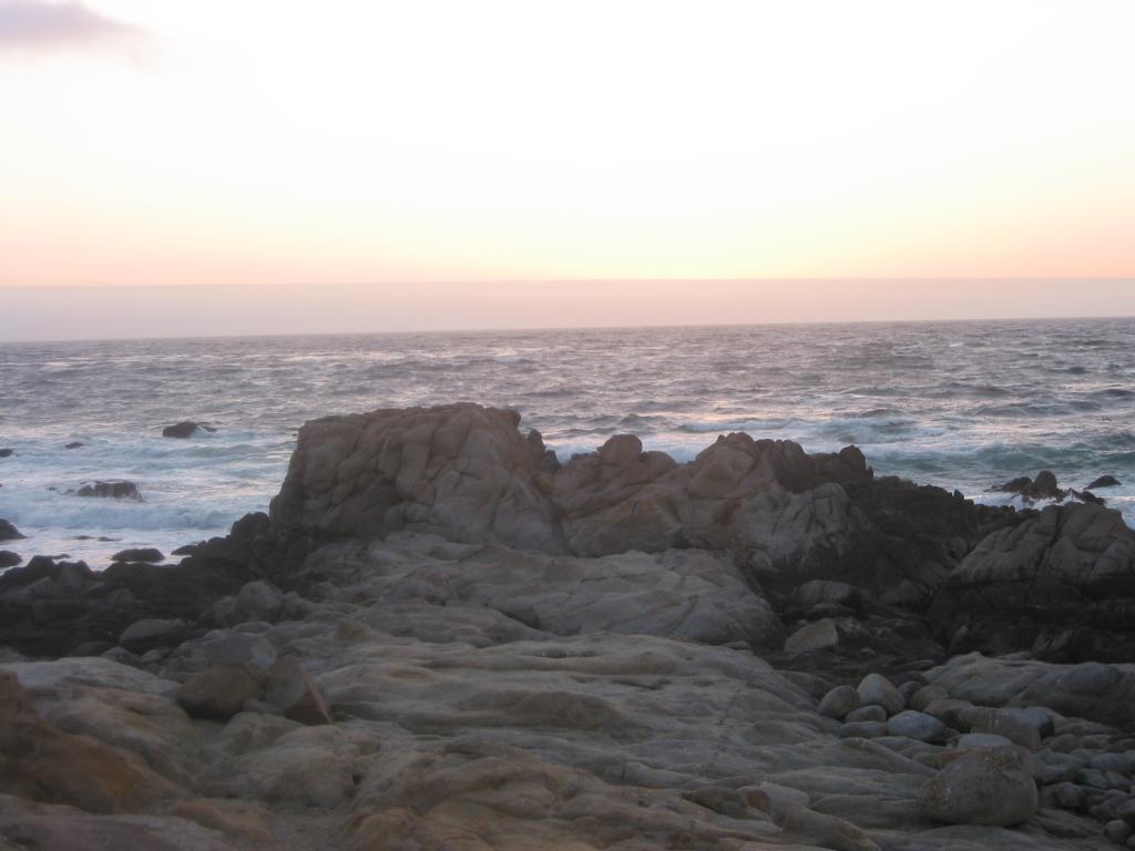 2004/06 June/Monterey Big Sur/1024x768_IMG_0874.JPG